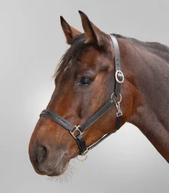 STAR Lederhalfter Diamond