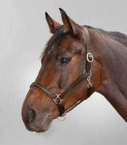 STAR Lederhalfter Diamond