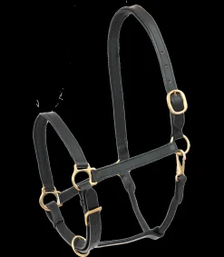 STAR Lederhalfter Robust