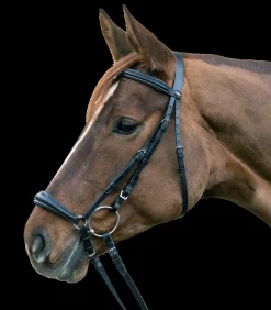 STAR Trensenzaum Hannover