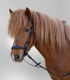 STAR Trensenzaum Hannover