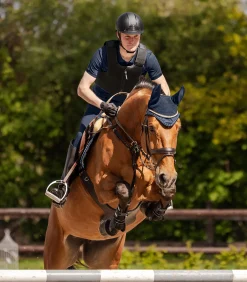 SWING Bodyprotektor P24 Max, Erwachsene