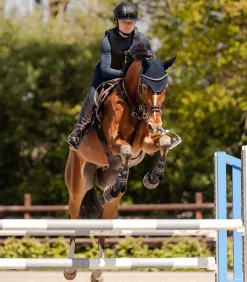 SWING Reithelm H24 Lady Shine