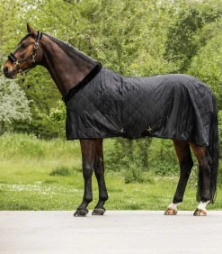 Transportdecke EXCLUSIVE, 50 g