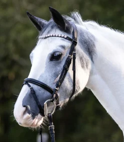 Trensenzaum Happy Hearts