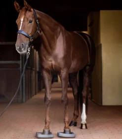 Waldhausen Health + Care Balance Pads