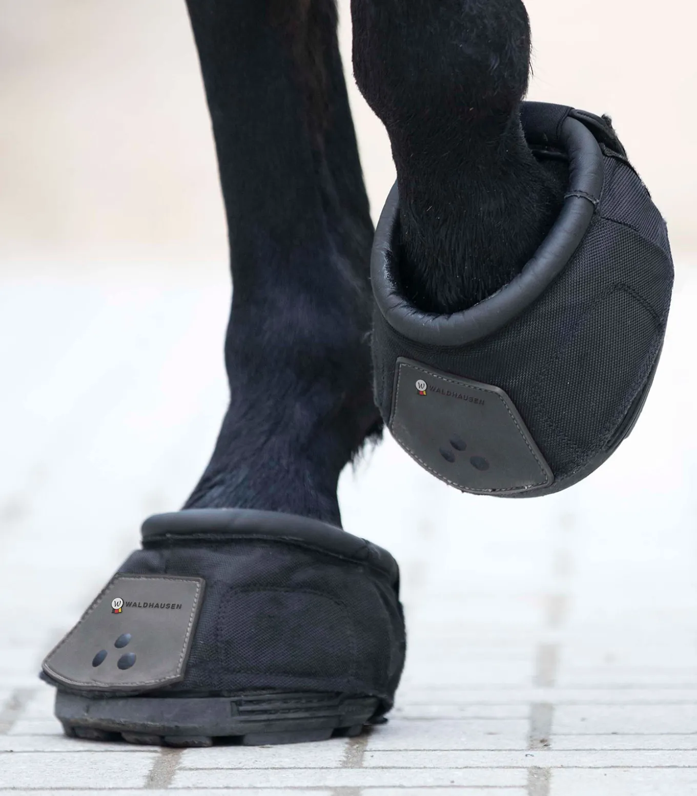 Waldhausen Huf- und Krankenschuh, Stück