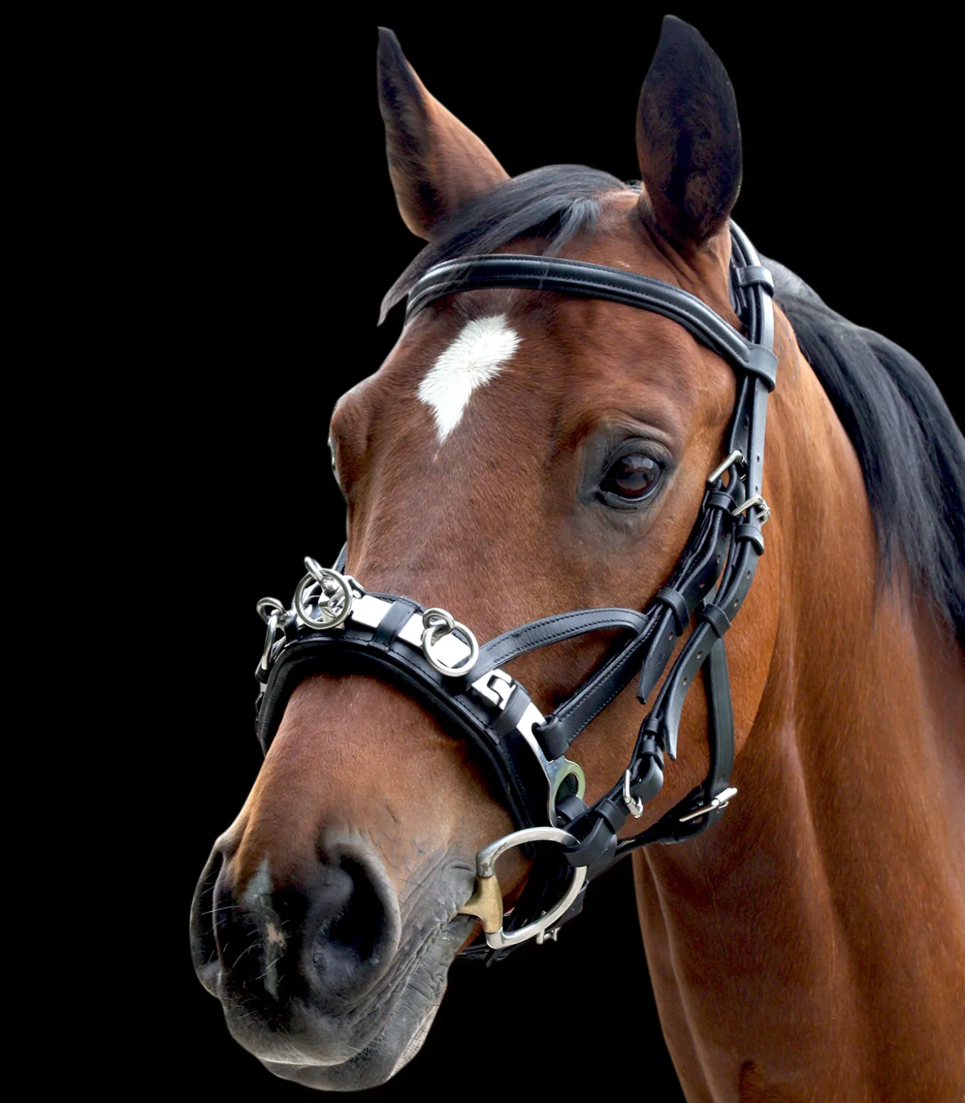 Waldhausen Kappzaum, Leder