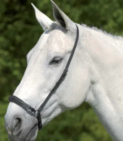 Waldhausen S-Line hann. Reithalfter, verstellbar