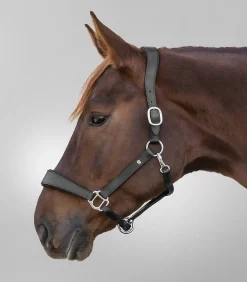 Waldhausen S-Line Lederhalfter Anatomic