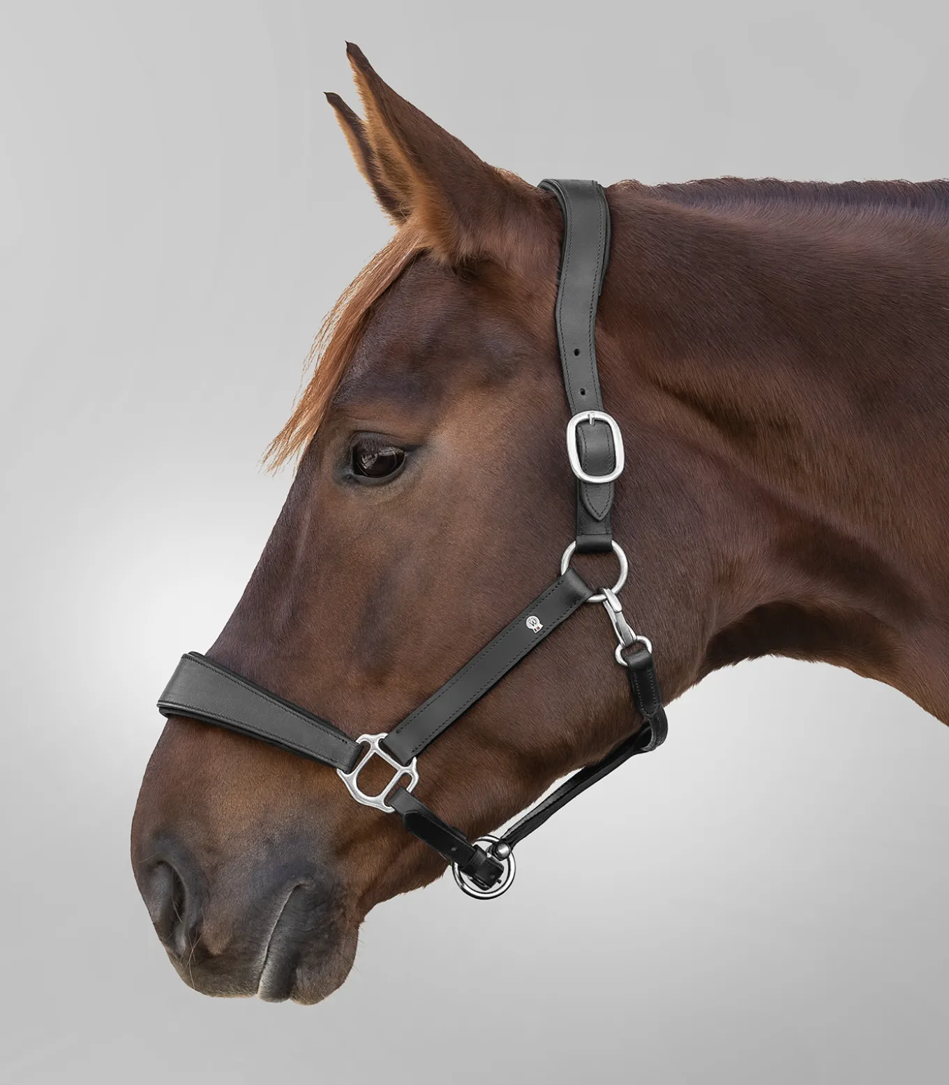 Waldhausen S-Line Lederhalfter Anatomic