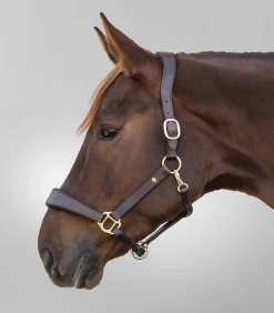 Waldhausen S-Line Lederhalfter Anatomic