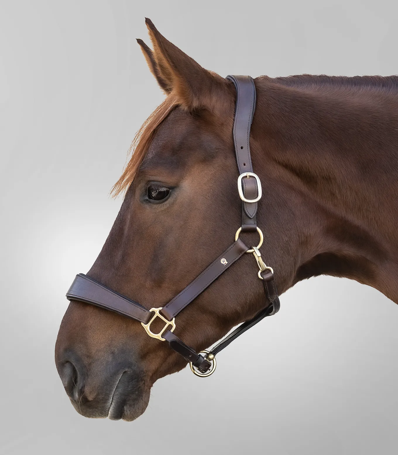 Waldhausen S-Line Lederhalfter Anatomic