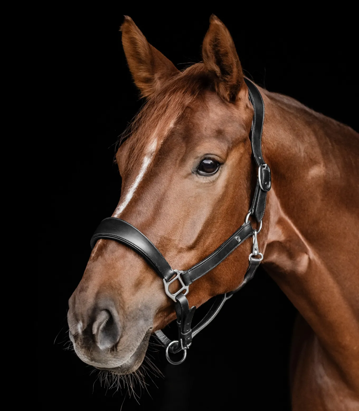 Waldhausen S-Line Lederhalfter Anatomic