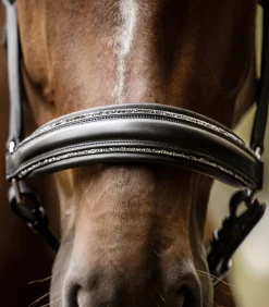 Waldhausen S-Line Lederhalfter Glamour