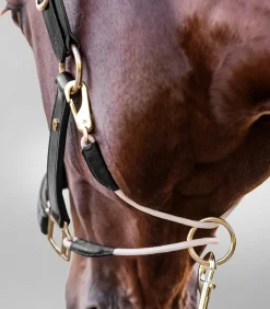 Waldhausen S-Line Lederhalfter Royal