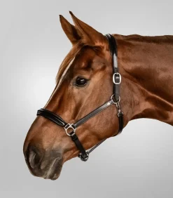 Waldhausen S-Line Lederhalfter Classy