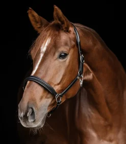 Waldhausen S-Line Lederhalfter Classy