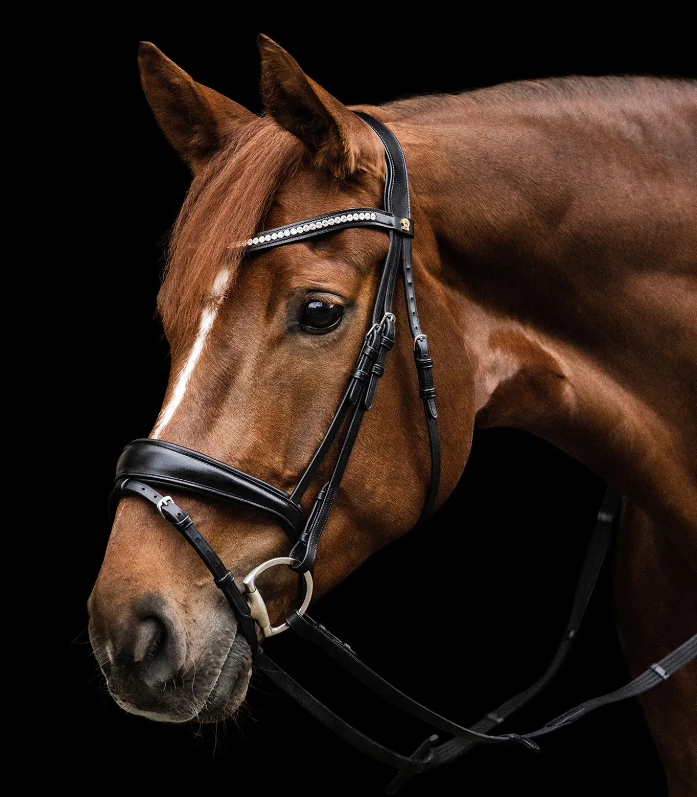 Waldhausen S-Line Trensenzaum Essential