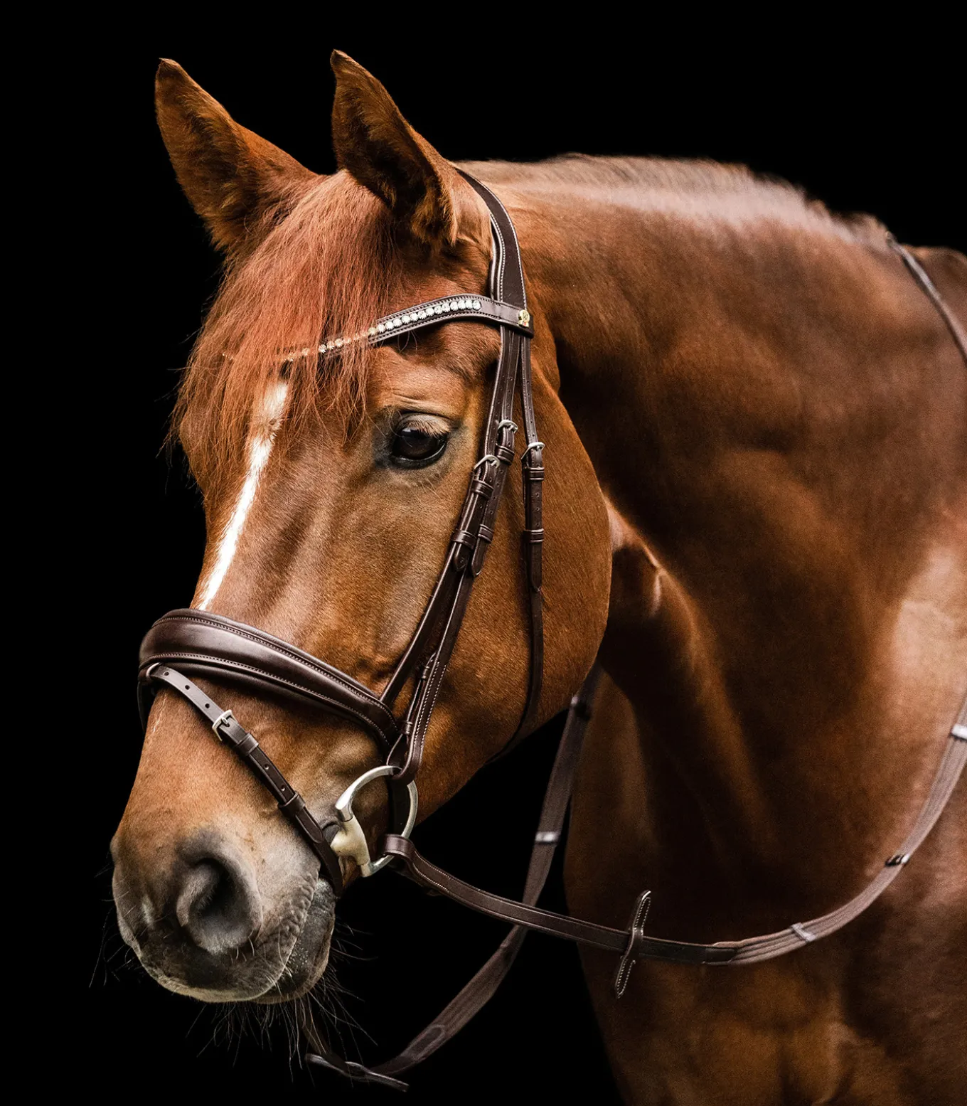 Waldhausen S-Line Trensenzaum Essential