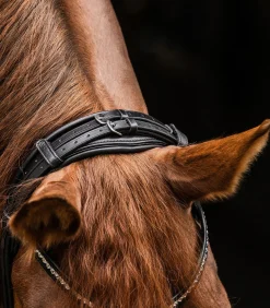 Waldhausen S-Line Trensenzaum Magic