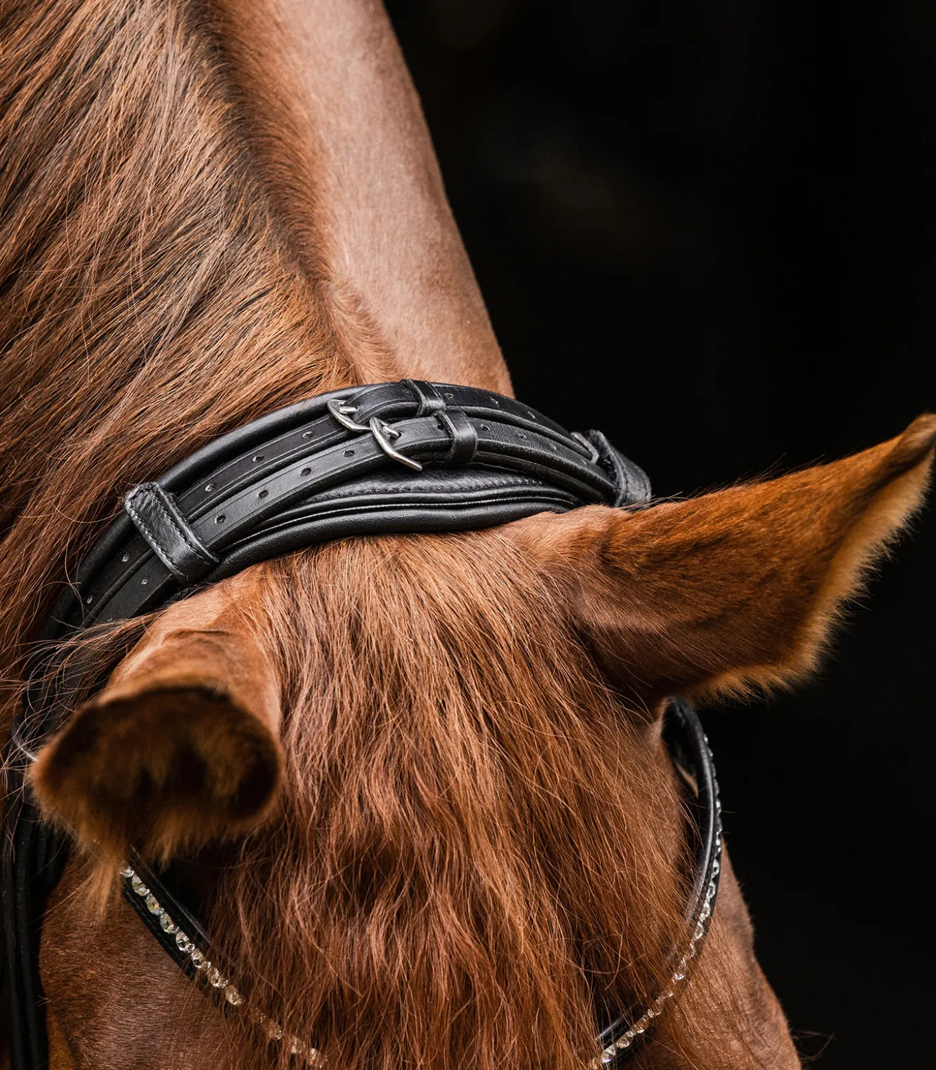 Waldhausen S-Line Trensenzaum Magic