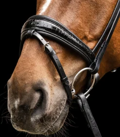 Waldhausen S-Line Trensenzaum Magic