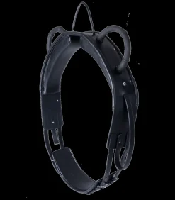 Waldhausen Voltigiergurt