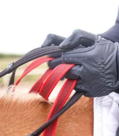 Waldhausen Vorderzeug mit Sicherheitszügel Secutrust