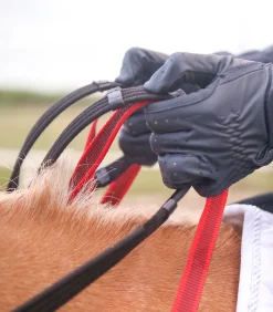 Waldhausen Vorderzeug mit Sicherheitszügel Secutrust