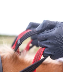 Waldhausen Vorderzeug mit Sicherheitszügel Secutrust