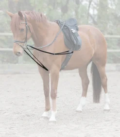 Waldhausen X-Line Dreieckszügel - einteilig