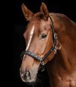 Waldhausen X-Line Lederhalfter Crystal