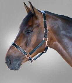 Waldhausen X-Line Lederhalfter Rosé