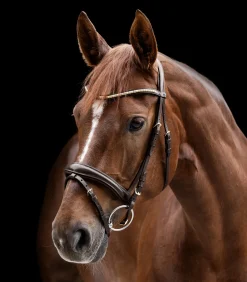 Waldhausen X-Line Trensenzaum Clincher