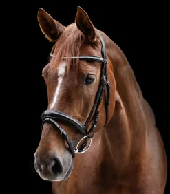 Waldhausen X-Line Trensenzaum Clincher