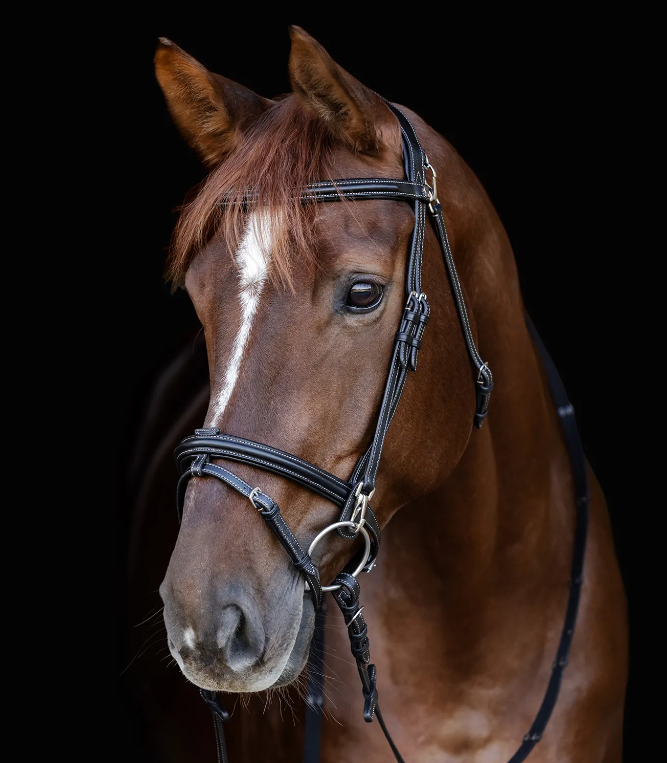 Waldhausen X-Line Trensenzaum Work