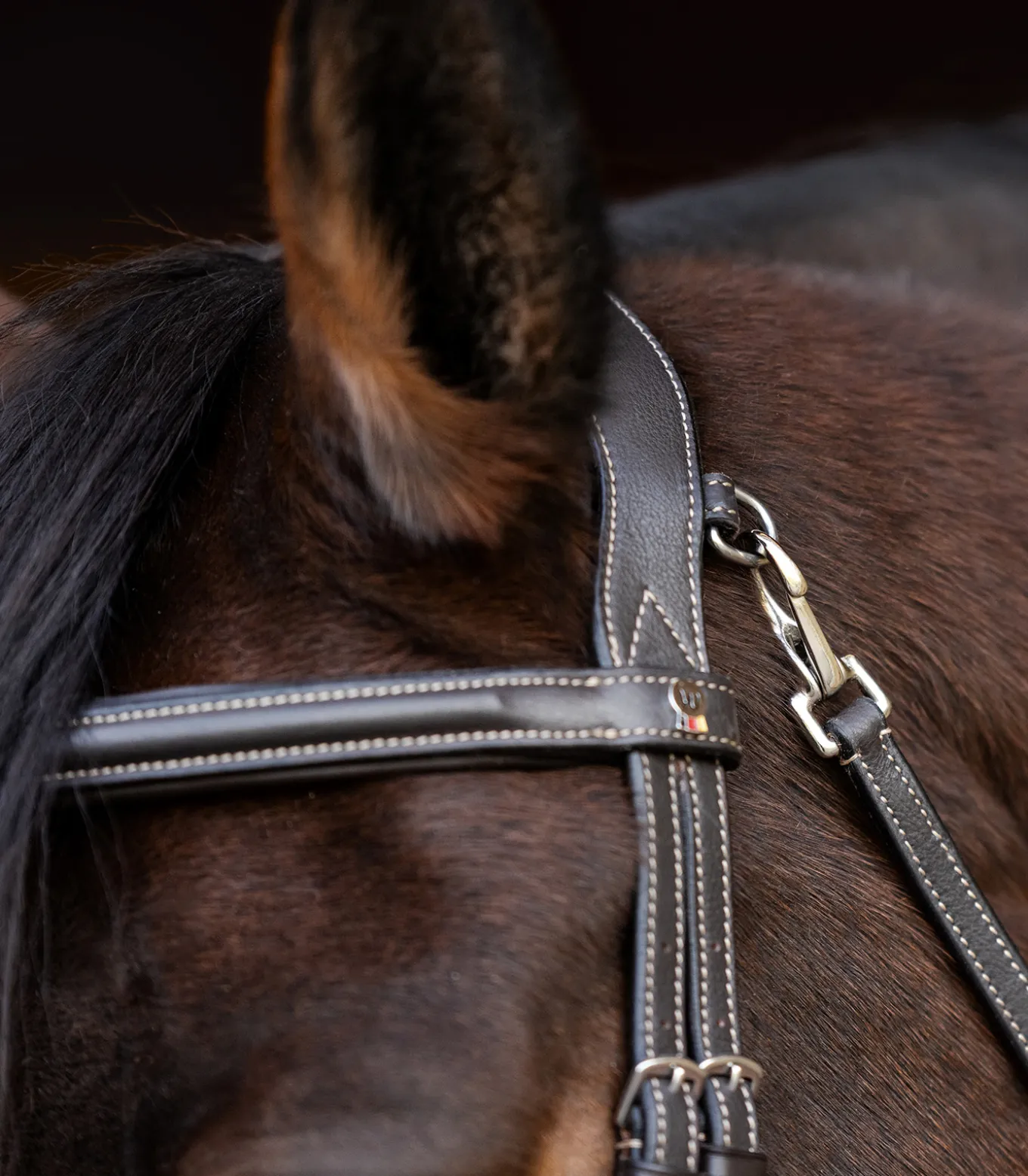 Waldhausen X-Line Trensenzaum Work