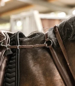 Waldhausen X-Line Vorderzeug Professional