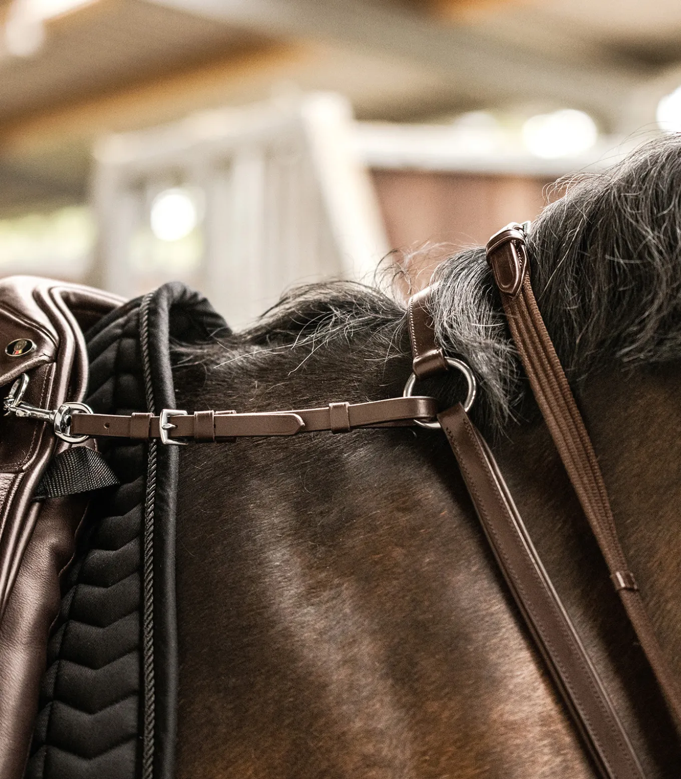 Waldhausen X-Line Vorderzeug Professional