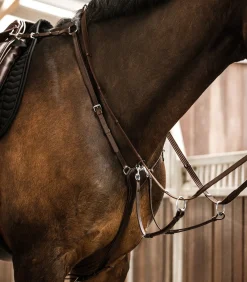 Waldhausen X-Line Vorderzeug Professional