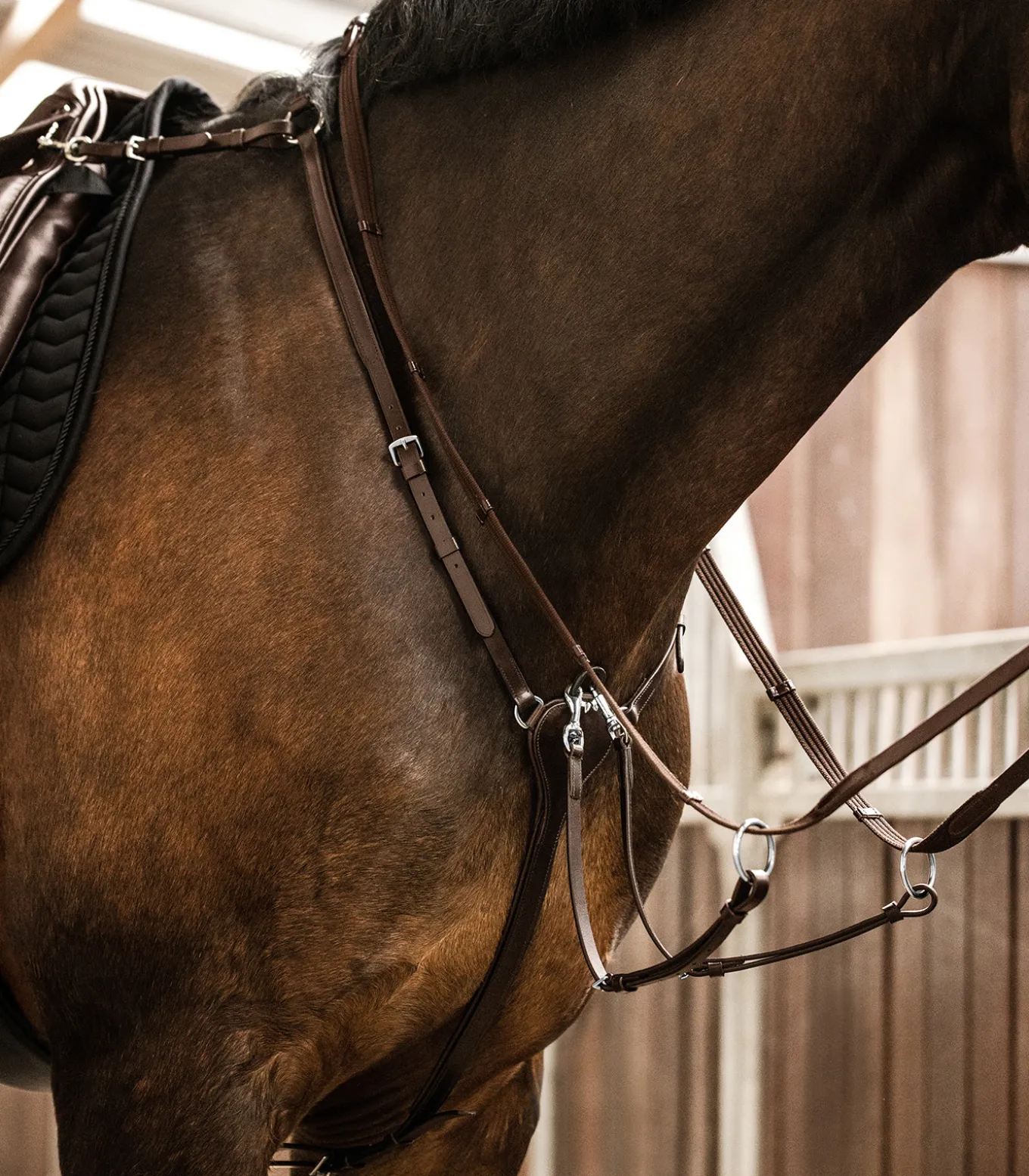 Waldhausen X-Line Vorderzeug Professional