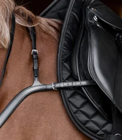 Waldhausen X-Line Vorderzeug mit langer Brücke