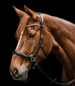Waldhausen X-Line Zaum Gebisslos Sensation