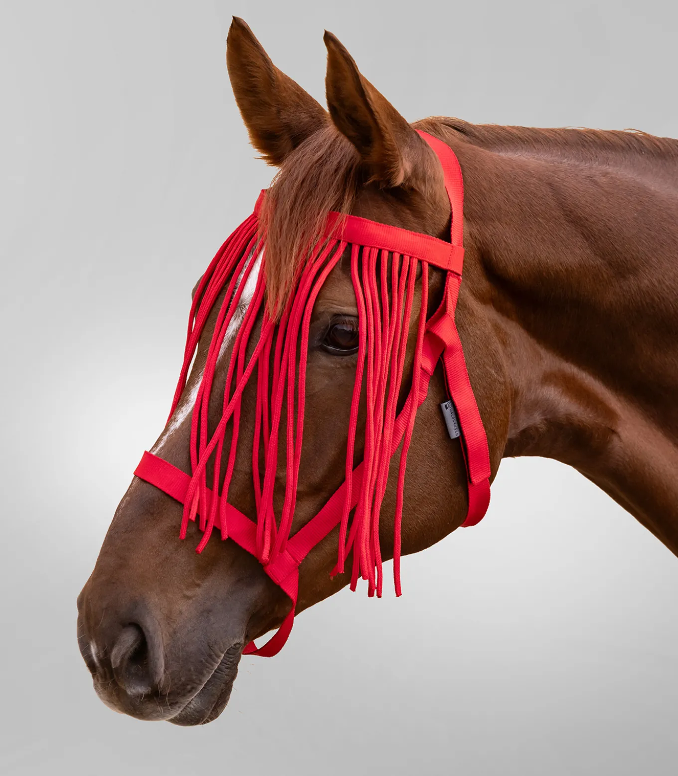 Weidehalfter mit Fliegenfransen